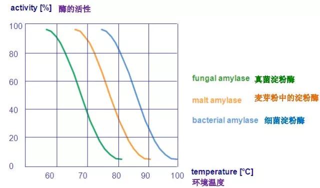 酶的活性.jpg